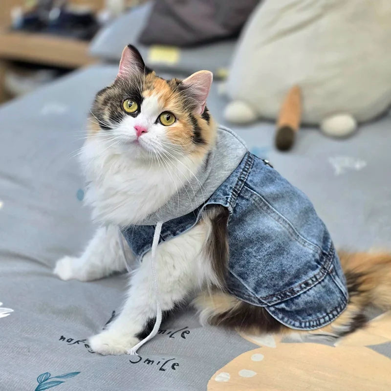 Dog Jean Jacket Vest with D-Ring Hoodies for Small Medium Dogs Spring Dog Clothes Puppy Denim Harness Coat