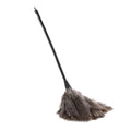 Mini Ostrich Feather Duster for Books Keyboard & Home Cleaning