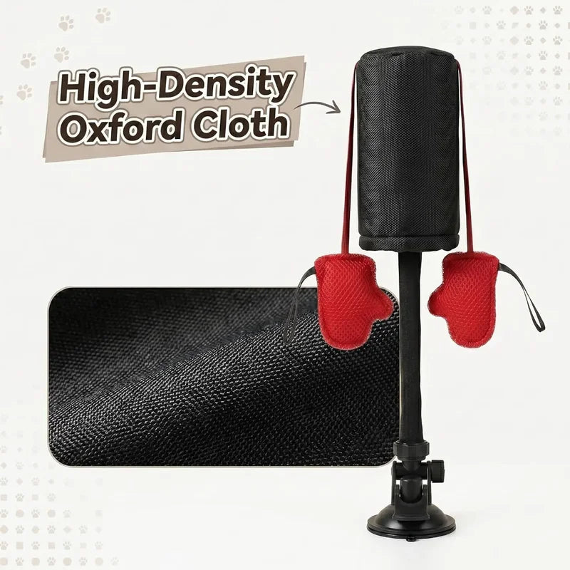 Cat Punching Bag Toy with Boxing Gloves - Interactive Indoor Play