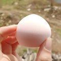 Soft Makeup Blender Puff Set - Wet & Dry Cosmetic Sponge for Face Powder