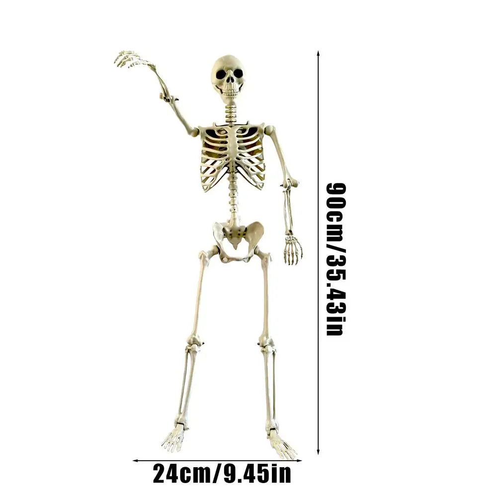 Life Size Human Skeleton Prop for Halloween Haunted House Decor - Movable Joints