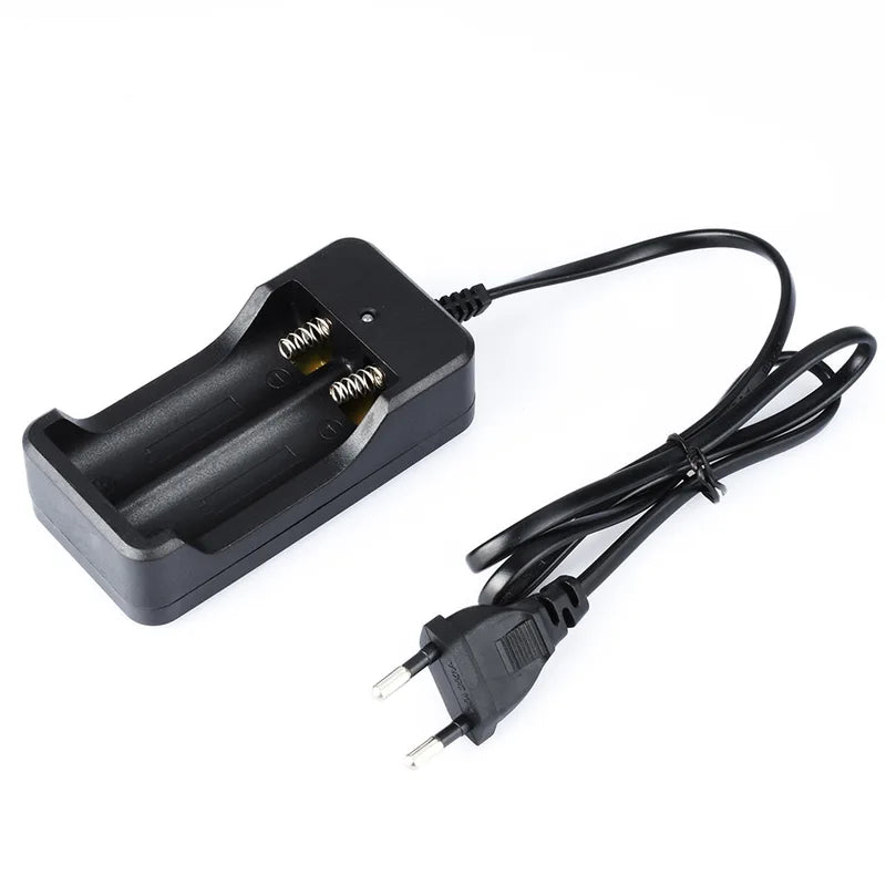 18650 Battery Charger EU Plug 2 Slot Fast Rechargeable Lithium Battery Power Adapter