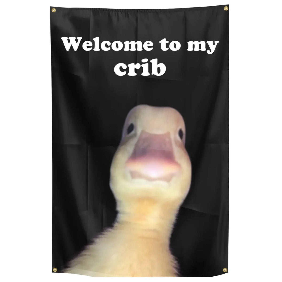 Funny Welcome to My Crib Flag 2x3 Feet Decorative Tapestry Dorm Room Home College Decor Brass Grommets