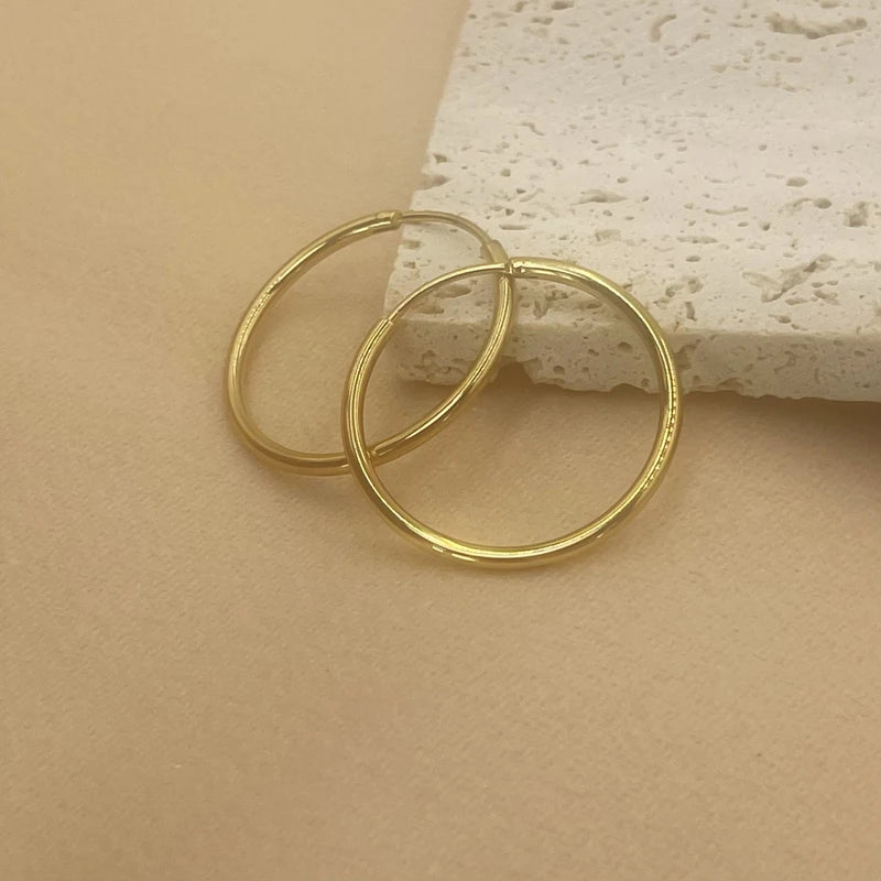 Minimalist Stainless Steel Hoop Earrings for Women – 12-70mm Round Gold or Silver Plated Jewelry