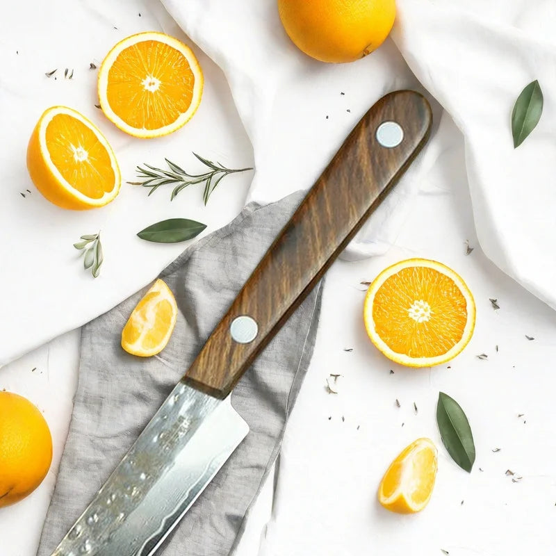Forged Damascus Steel Fruit & Boning Knife with Solid Wood Handle - 67 Layers Kitchen Tool