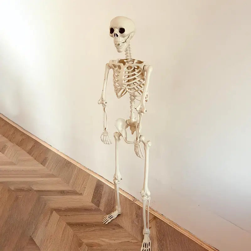 Life Size Human Skeleton Prop for Halloween Haunted House Decor - Movable Joints
