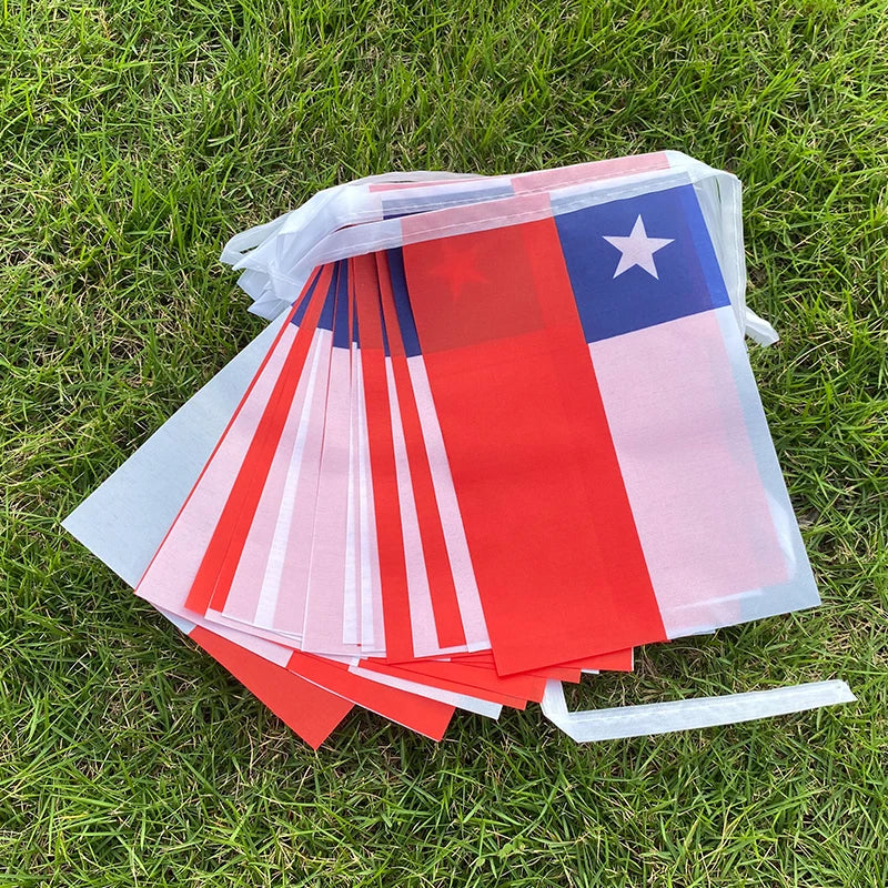Party Flags - 20 Pcs Chile Bunting Pennants for Festivals & Events