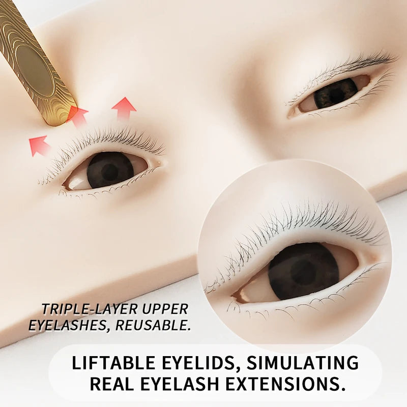 Reusable Human Head Model for Eyelash Practice and Styling Display