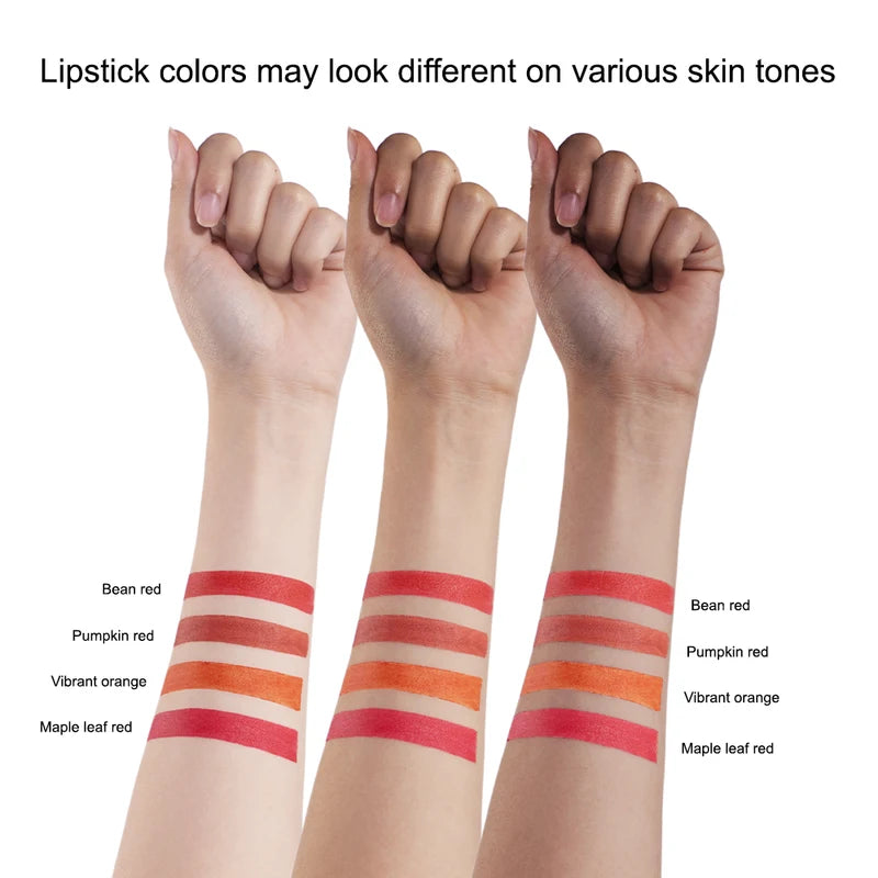 4 Color Velvet Matte Waterproof Lip Gloss Set - Long Lasting Lipstick for Women