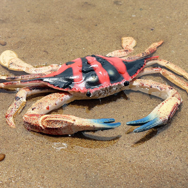 Ocean Sea Life Animals Action Figures Set - Kids Education & Toy Collection