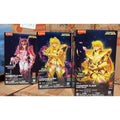 Saint Seiya Action Figure - Champion Class 14 - Andromeda Shun Anime Toy Collectible