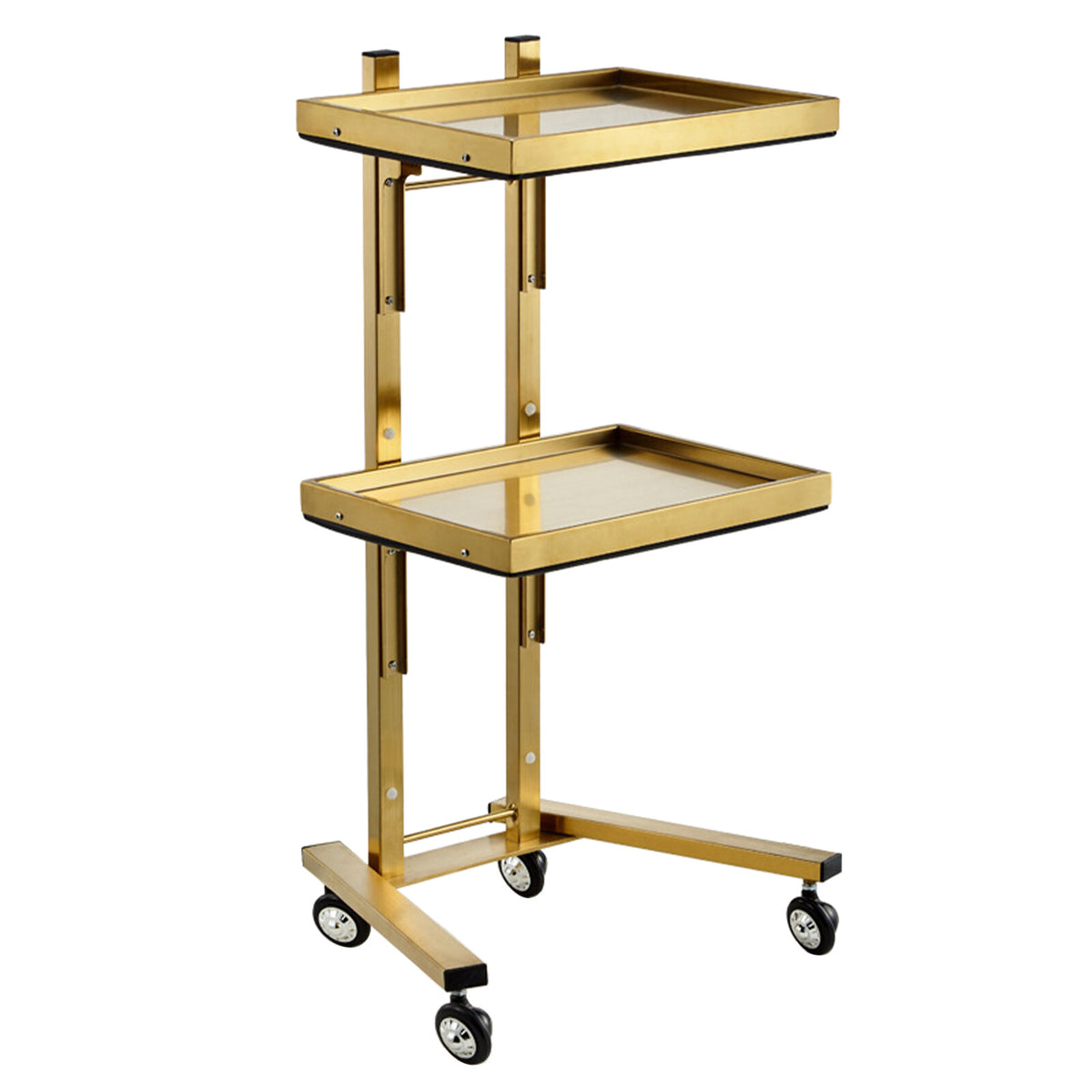2-Tier Salon Trolley Cart with Wheels - Space-Saving Beauty & Spa Storage
