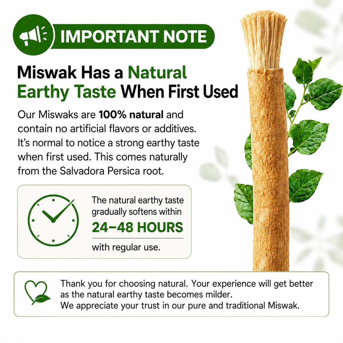 Natural Miswak Toothbrush Sticks Pack of 12 - Traditional Oral Care