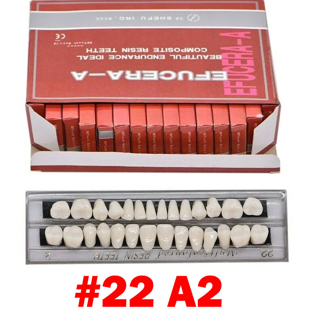 Dental Acrylic Resin Denture Set for Upper and Lower Teeth - Multiple Shades