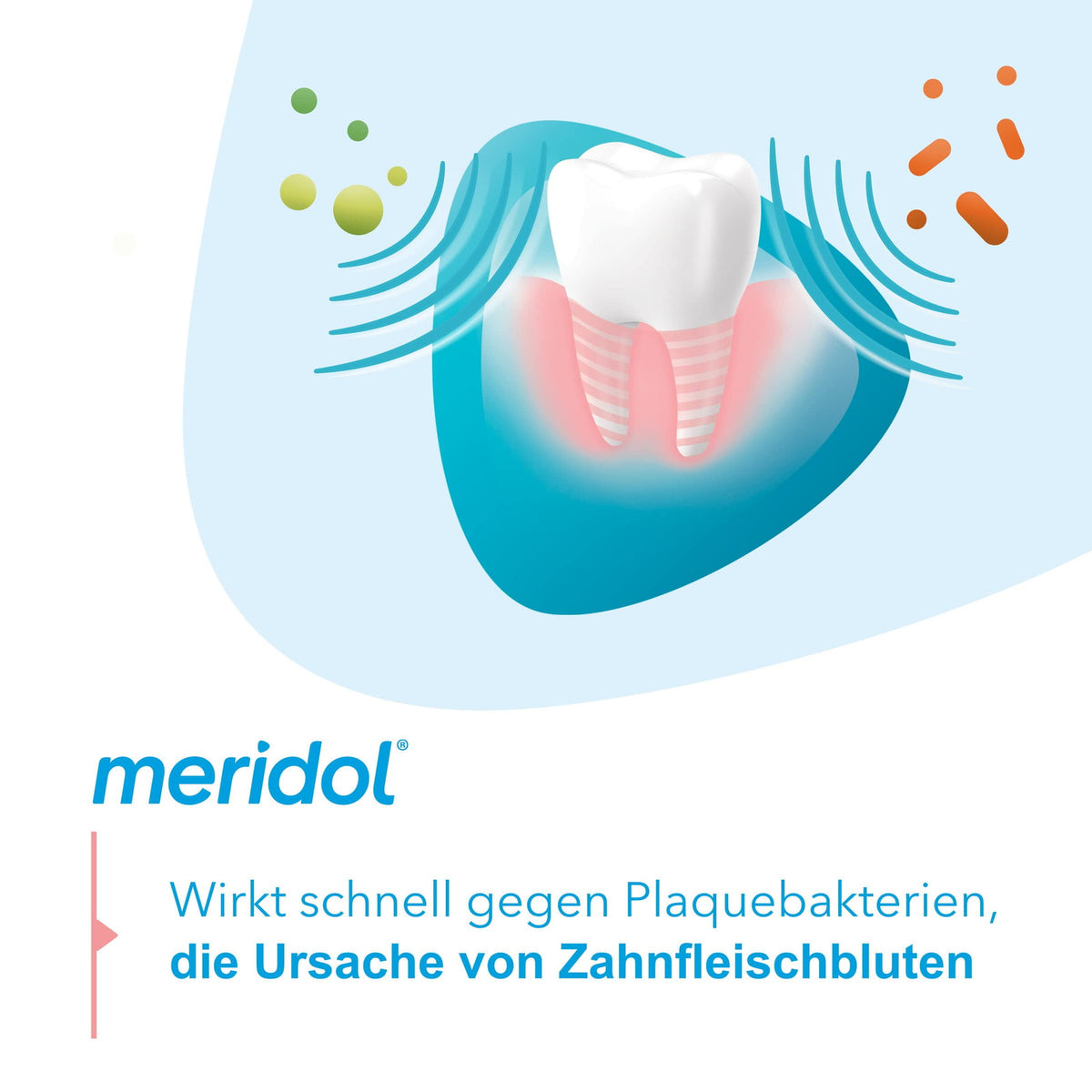 Meridol Toothpaste 2 Pack - Gum & Tooth Decay Protection, 253 Fl Oz