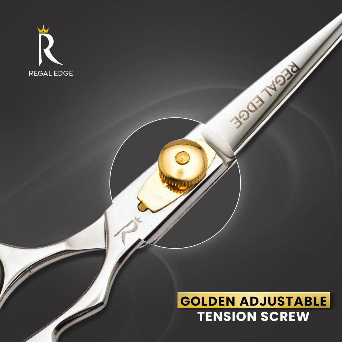 6.5-Inch Japanese Stainless Steel Professional Hair Cutting Scissors with Golden Tension Screw