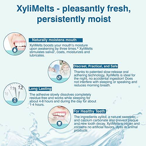 Xylimelts Dry Mouth Relief Melts - Mild Mint Flavor Assorted Sizes