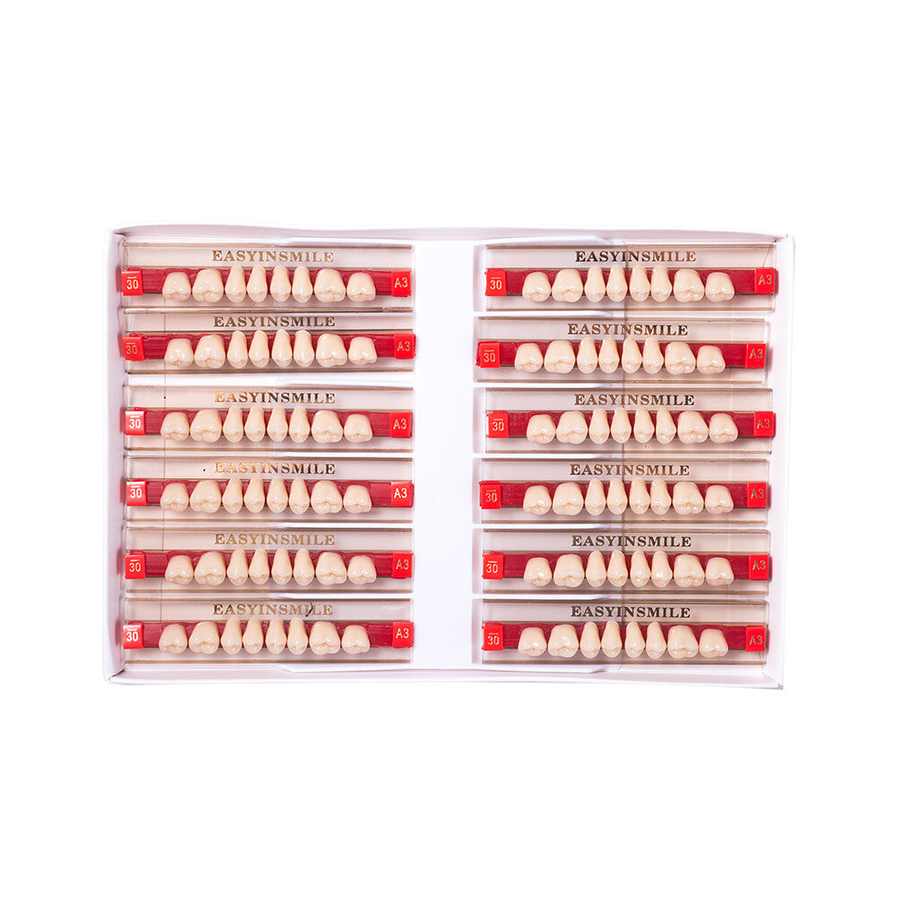 Complete Acrylic Resin Denture Teeth Set for Upper & Lower Full Mouth Restoration