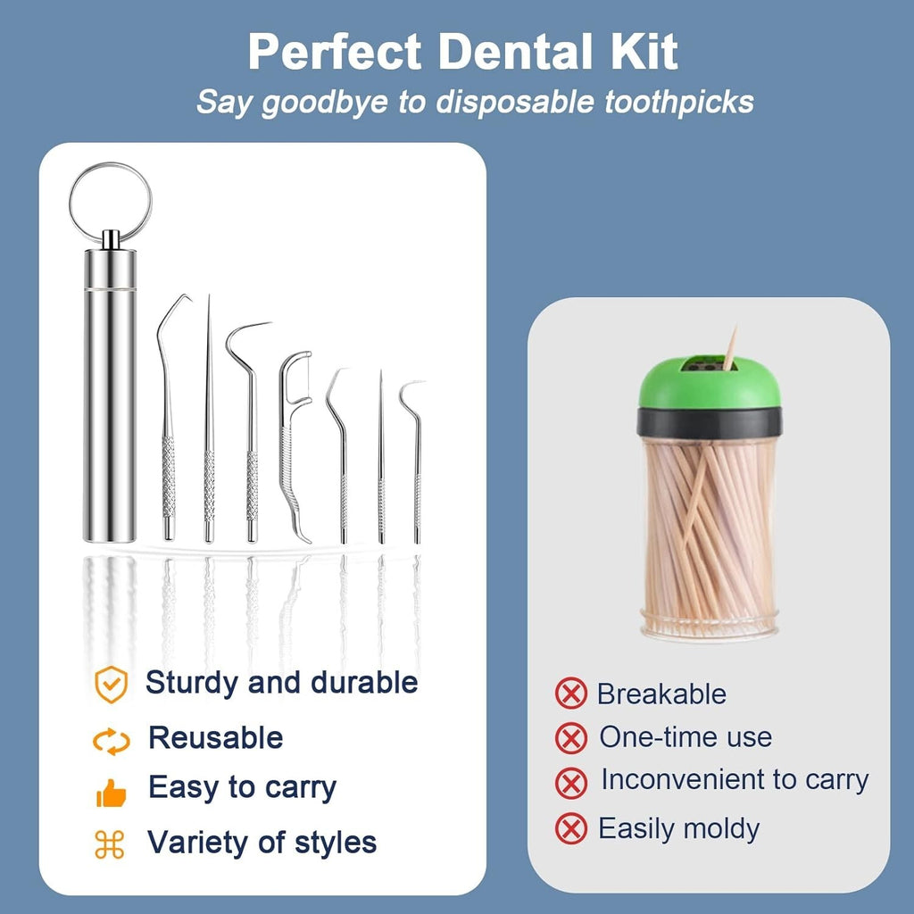 Reusable Stainless Steel Toothpicks Set Portable Teeth Cleaning Kit