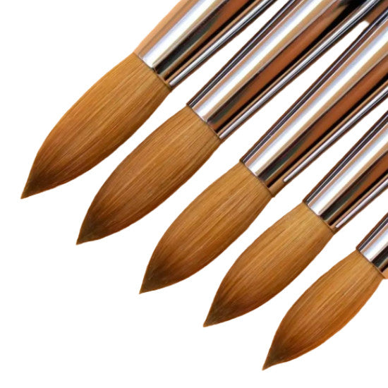 Professional Kolinsky Acrylic Nail Brush - Round, Multiple Sizes