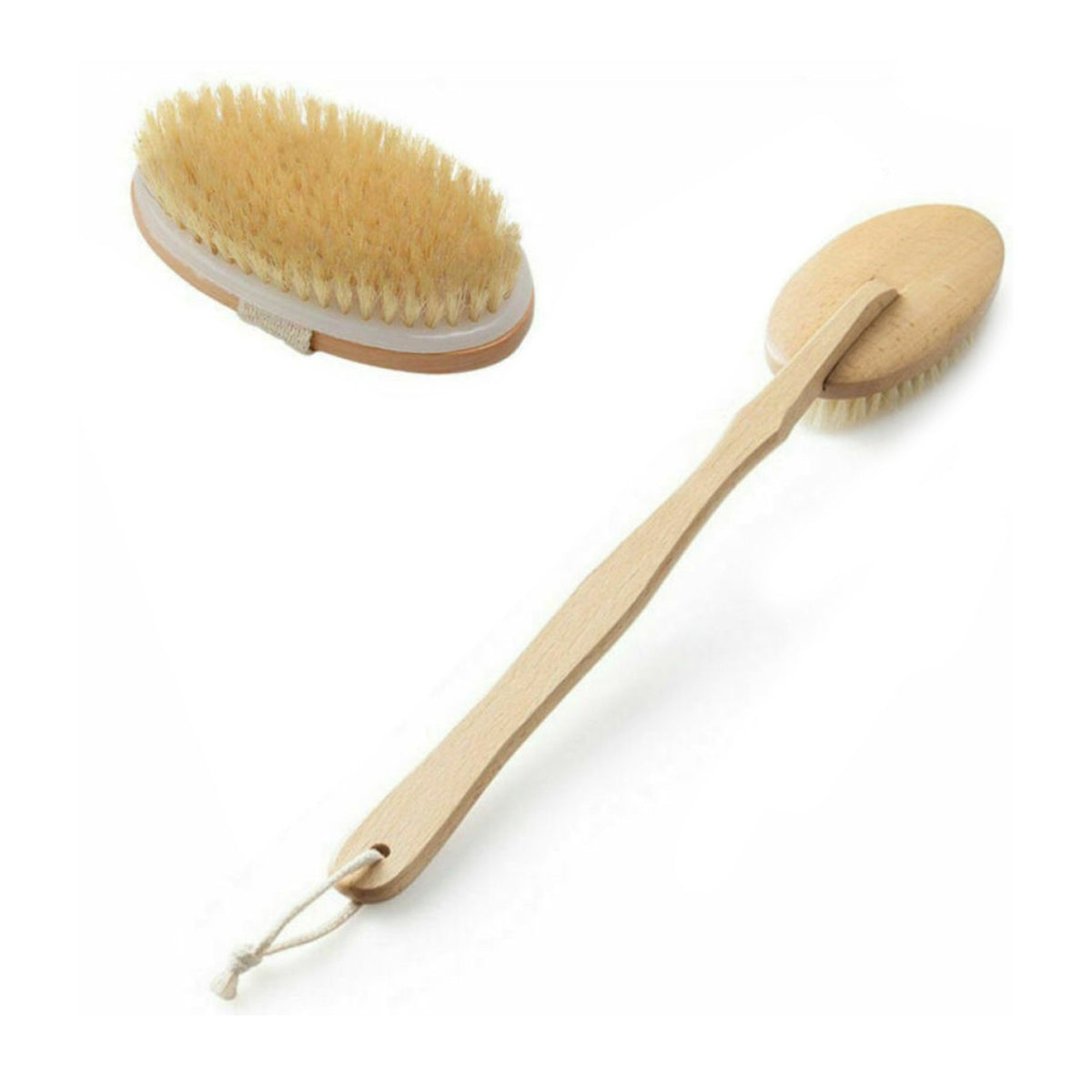 Natural Bristle Body Brush with Long Handle for Back Scrubbing - Eco-Friendly Spa Shower Tool