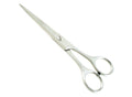 5.5-Inch Razor Sharp Stainless Steel Barber Scissors for Hair Cutting & Styling