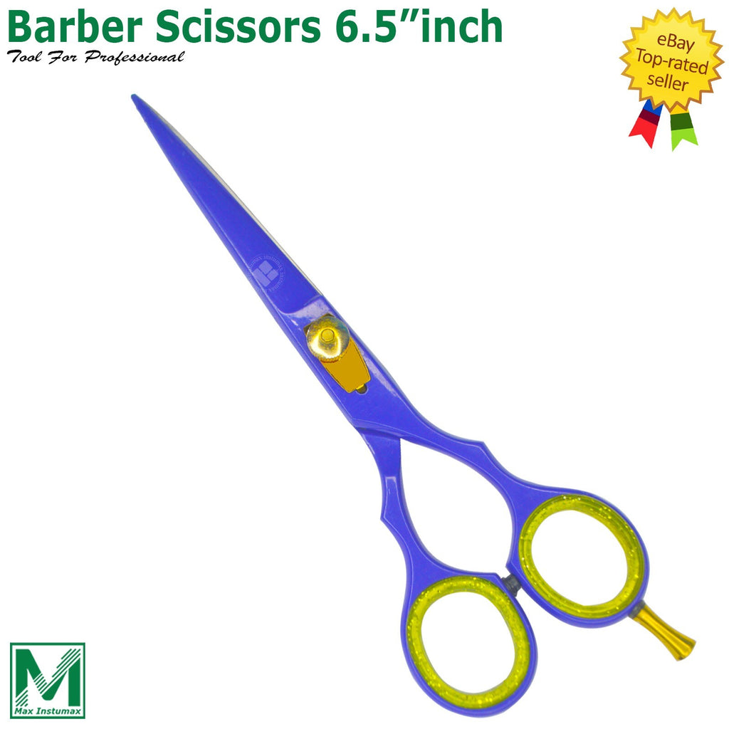 Professional Hair Cutting Scissors 6.5 Inch Stainless Steel Thinning Shears for Barbers & Stylists