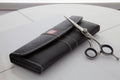 Professional 5.5 Inch Japanese Stainless Steel Hair Cutting Scissors with Convex Edge