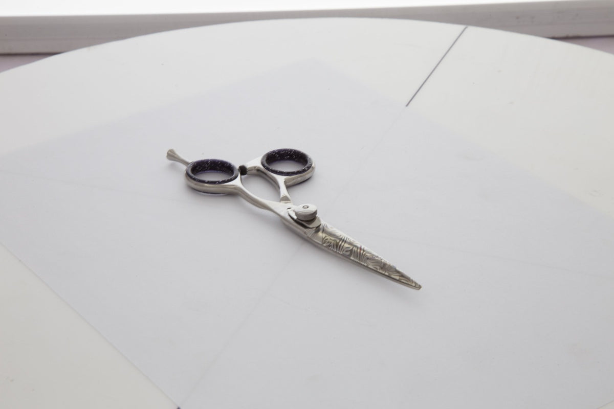 Professional 5.5 Inch Japanese Stainless Steel Hair Cutting Scissors with Convex Edge
