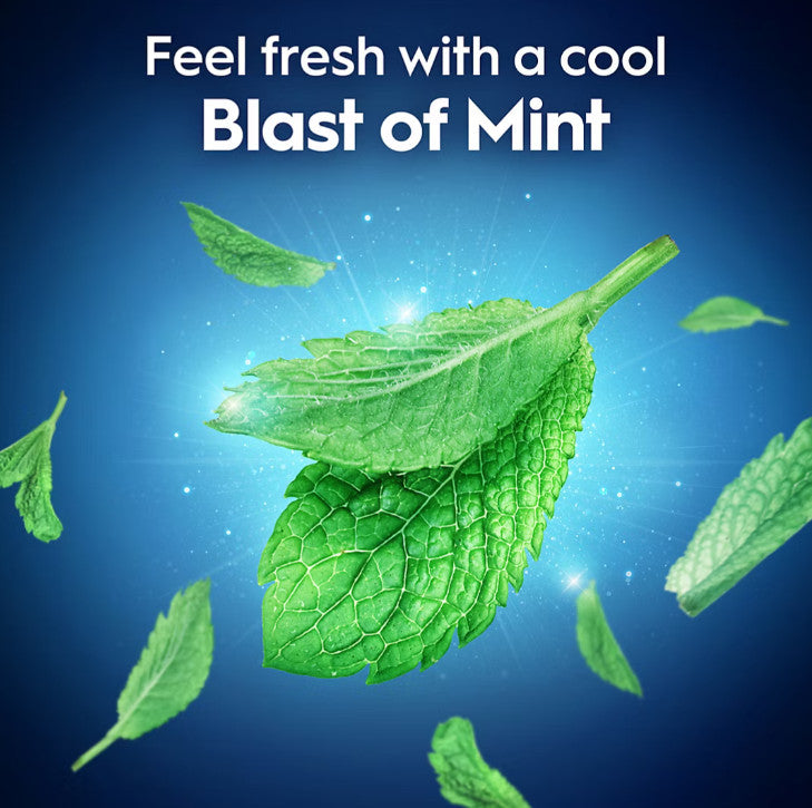 Dental Floss Picks with Mint Fresh Breath – 300 Count