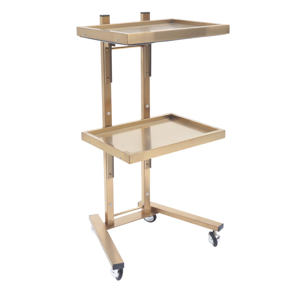Stainless Steel 2-Tier Salon & Spa Utility Cart with Wheels