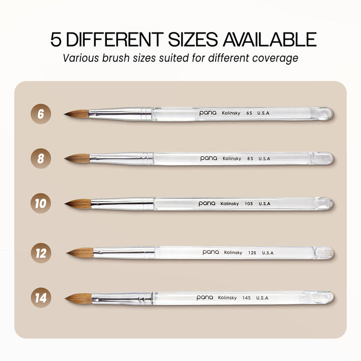 Professional Nail Art Brush - Kolinsky Hair Oval Acrylic Nail Brush Size 10