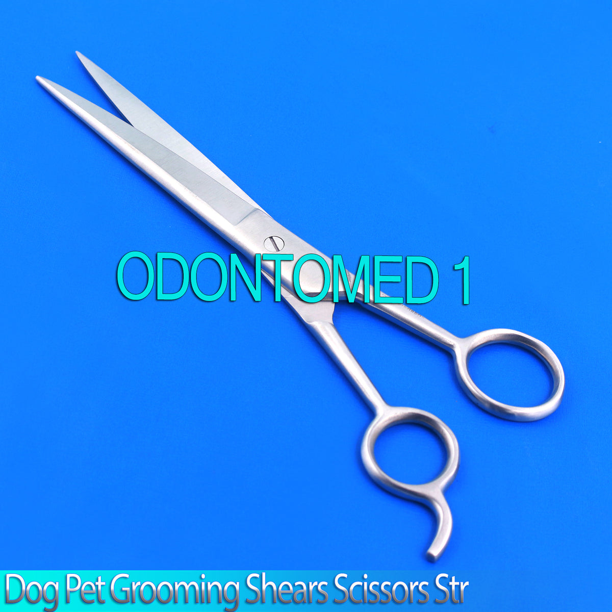 Professional 10-Inch Hair Cutting Shears for Barbers and Stylists