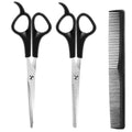 6.7 Inch Stainless Steel Hair Cutting Shears Set with Thinning Scissors and Comb