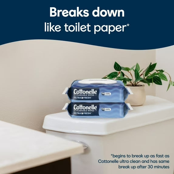 Flushable Personal Wipes 4 Pack for Bathroom & Hygiene