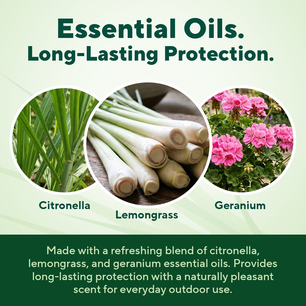 Outdoor Bracelets with Citronella & Lemongrass - 10 Pack for Camping & Hiking