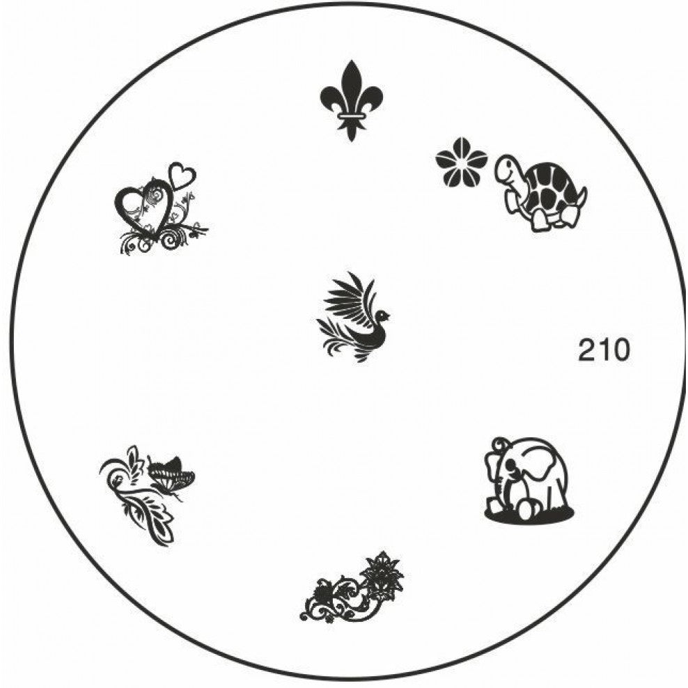 Nail Art Stamping Plates Set for Professional Manicure & DIY Design