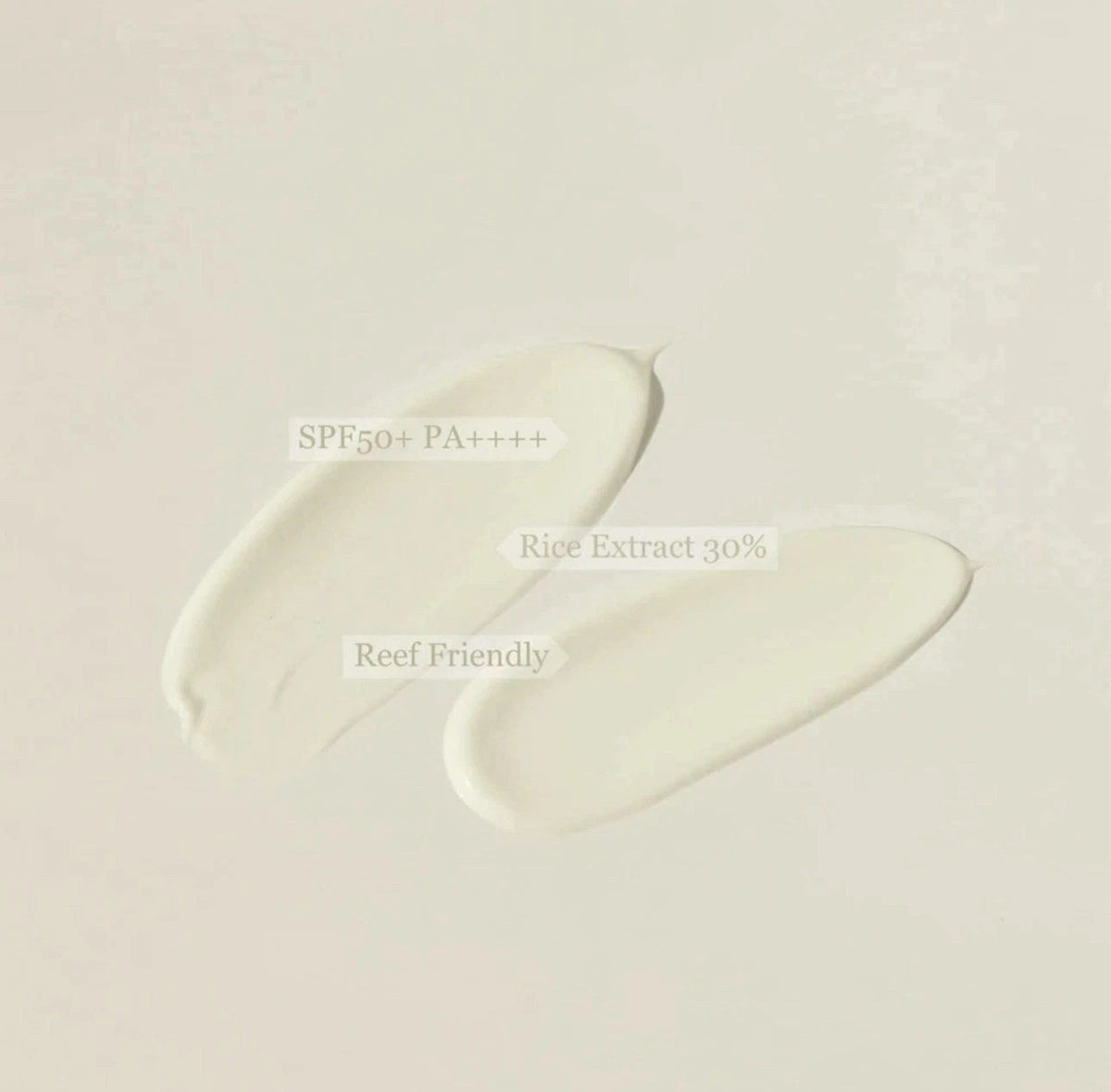 SPF50+ PA++++ Sunscreen with Rice Extract & Probiotics - 50ml Lightweight Sun Protection