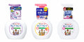 Foaming Hand Soap Pump Pack - 3 Types of Antibacterial Foam Dispensers