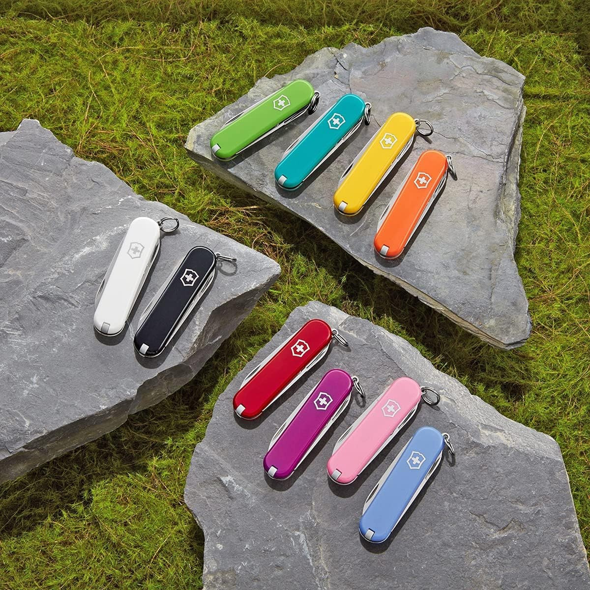 Victorinox Small Stainless Steel Tweezers Set - Pack of 6, Compact & Durable