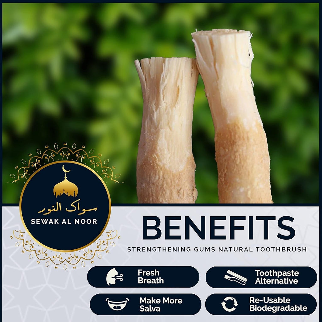 Natural Miswak Teeth Sticks Pack with Holder - Chemical-Free Oral Care