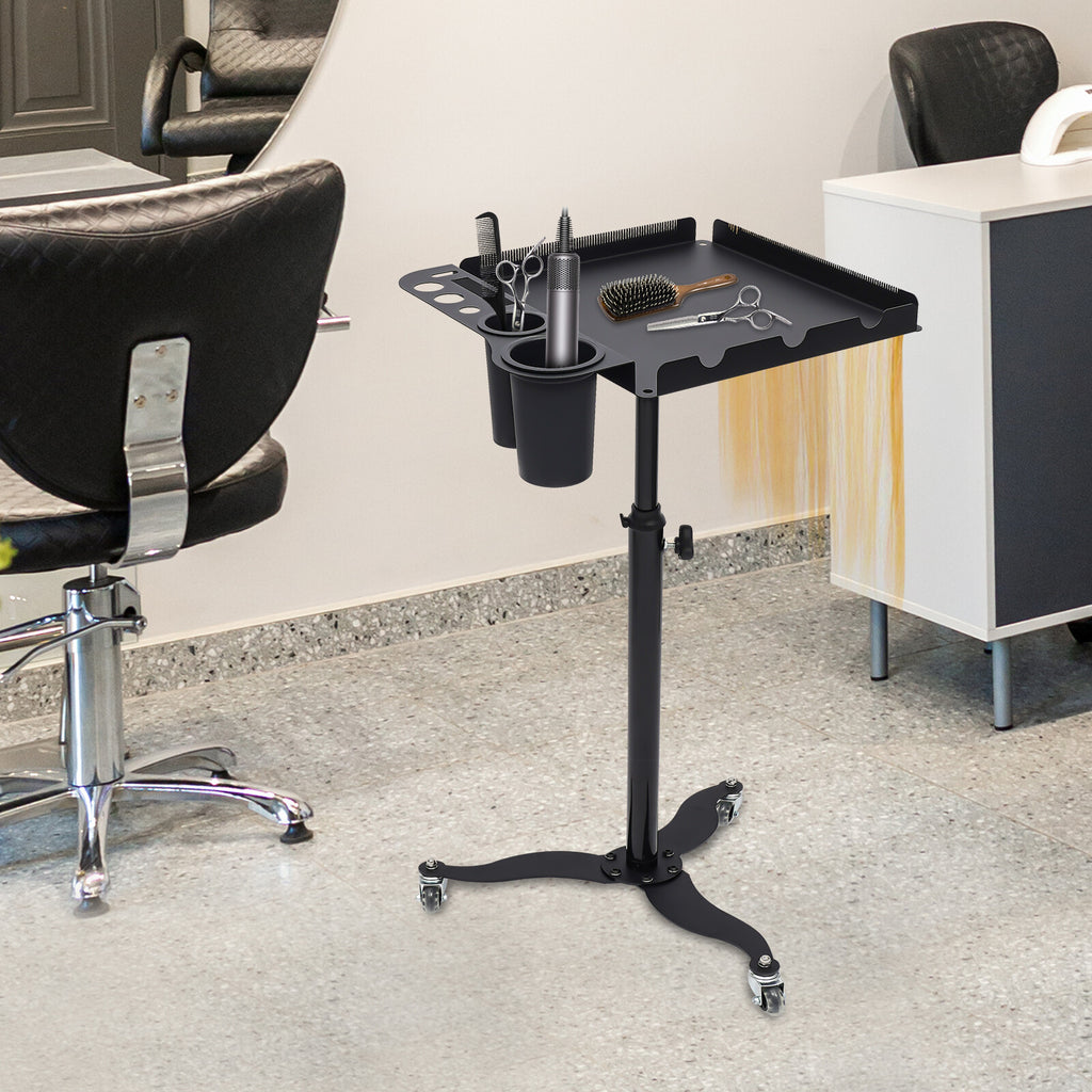 Mobile Salon Hairdressing Cart with 2 Bowls & Rolling Service Tray, Stainless Steel
