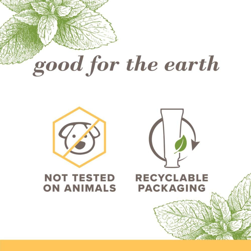 Fluoride-Free Natural Toothpaste with Peppermint - 3-Pack, Purely White & Stain Remover
