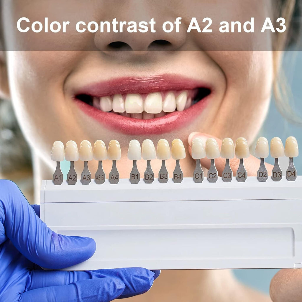 A2 T8 Denture Teeth Full Set - Upper and Lower Acrylic Resin False Teeth