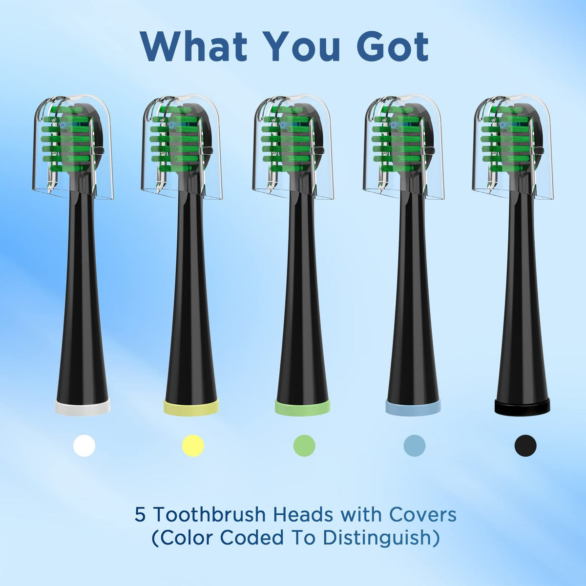 Replacement Toothbrush Heads for All Models - Pack of 5 Black