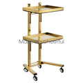 Stainless Steel 2-Tier Salon & Spa Rolling Cart with Double Storage Tray