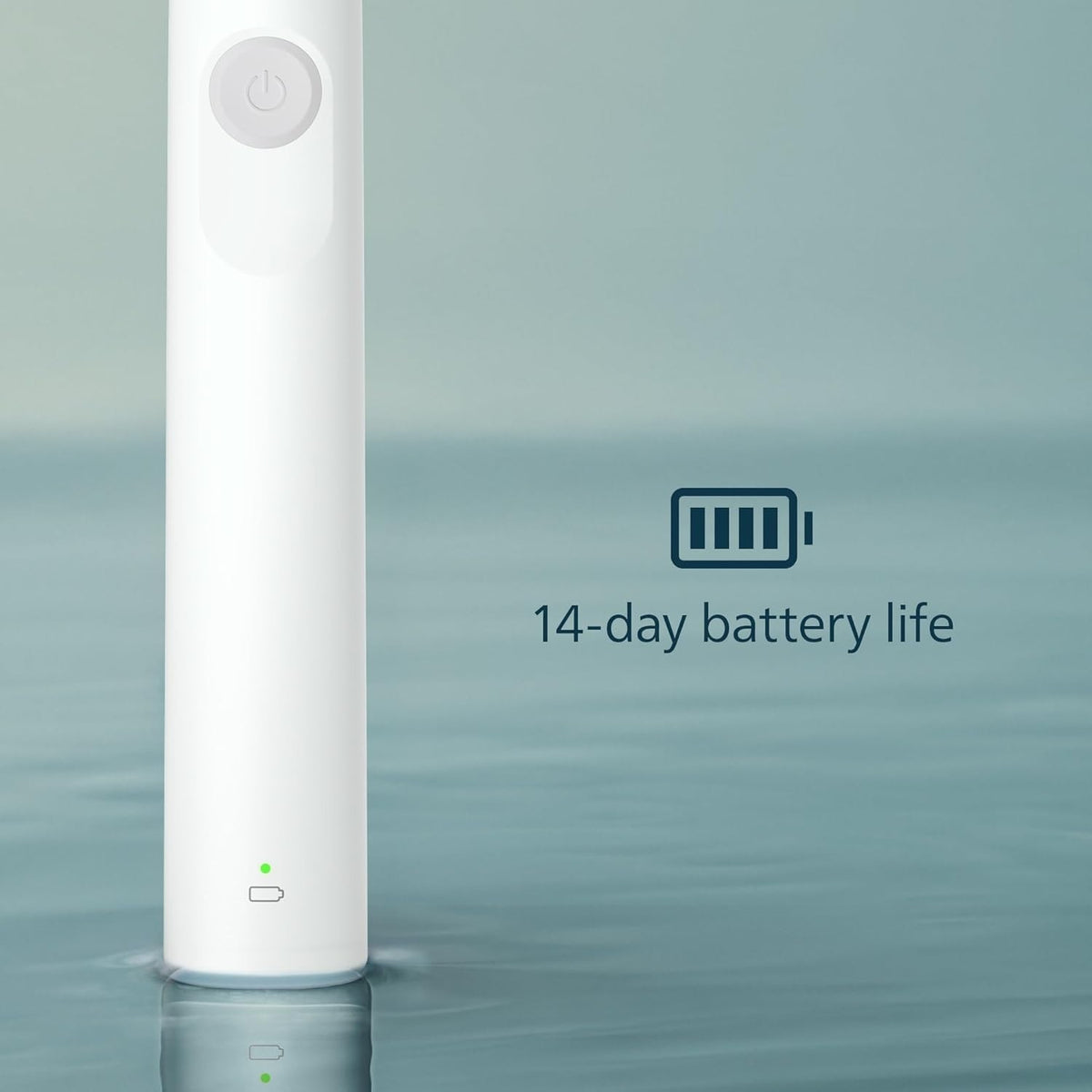 Electric Toothbrush 1100 Series with Sonic Cleaning & Timer