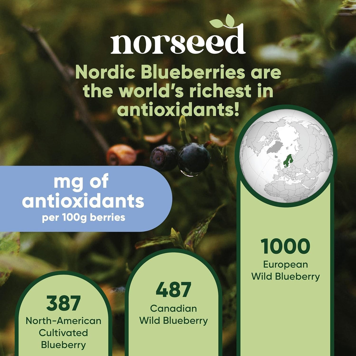 Organic Wild Blueberry Powder 5oz - Freeze Dried Superfood, Antioxidant & Nutrient Rich