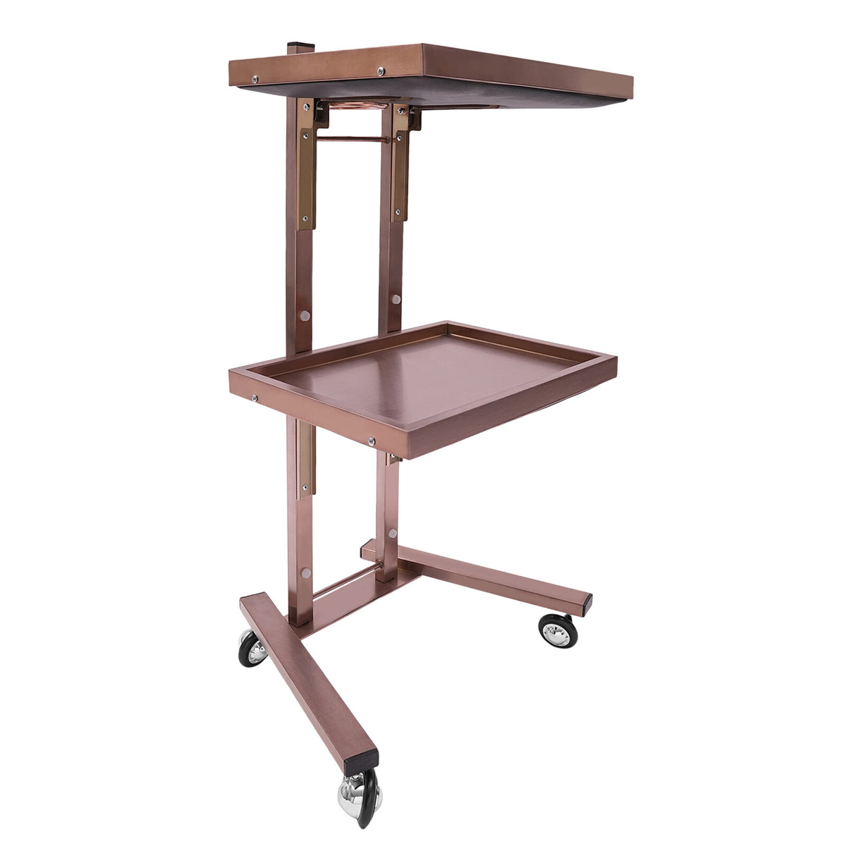 Salon 2-Tier Rolling Trolley Cart for Hairdressing & Beauty Supplies