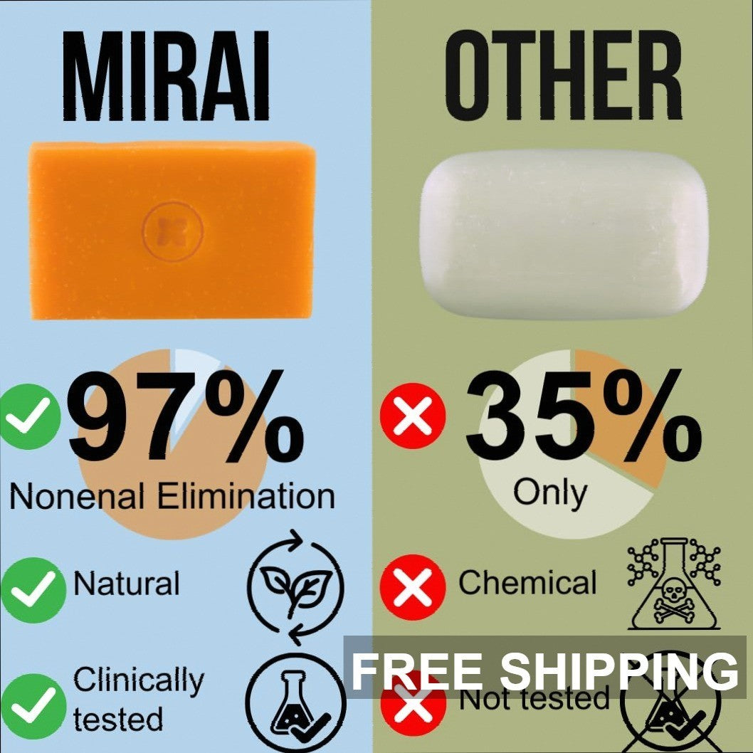 Japanese Persimmon & Green Tea Deodorant Soap 100g for Odor Control